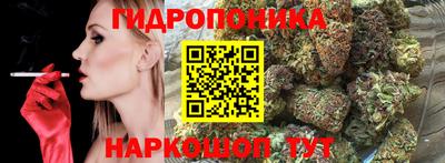 хмурый Новодвинск