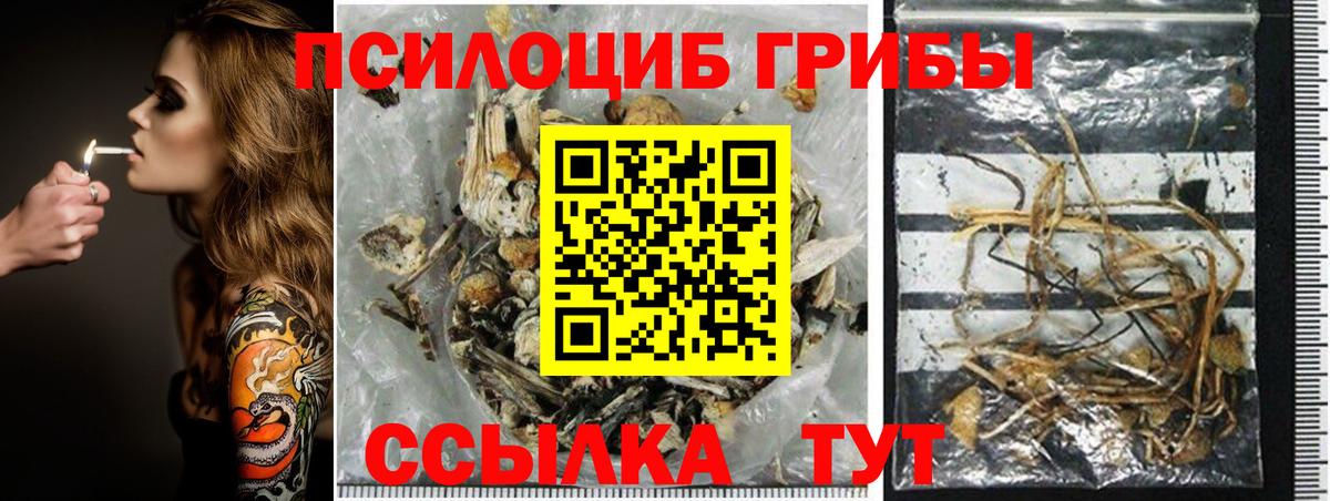 где купить   Вход с VPN  Троицк  Псилоцибиновые грибы Cubensis 